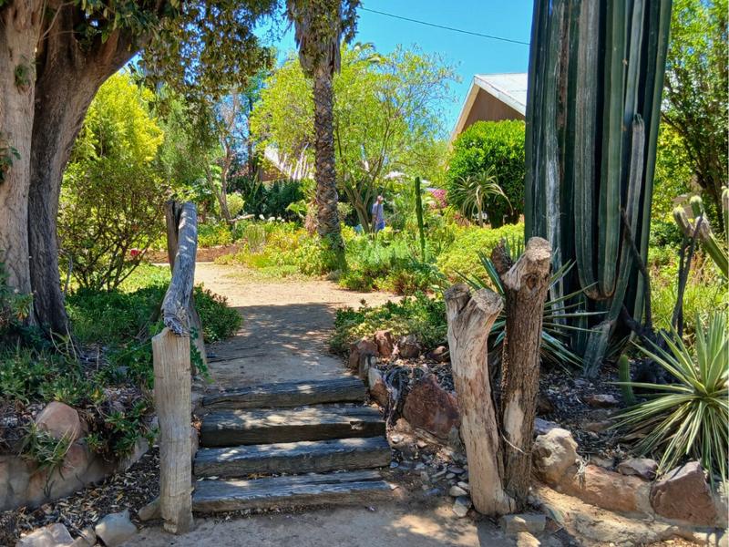 4 Bedroom Property for Sale in Jansenville Eastern Cape